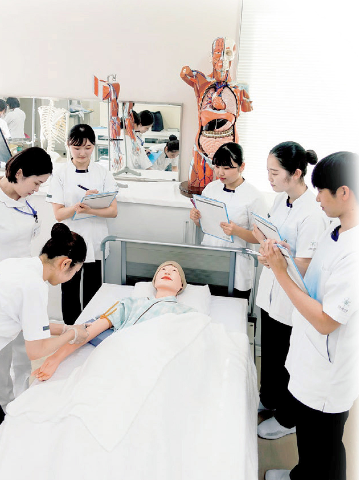 看護学専攻 – 北海道大学医学部保健学科/大学院保健科学院/大学院保健科学研究院